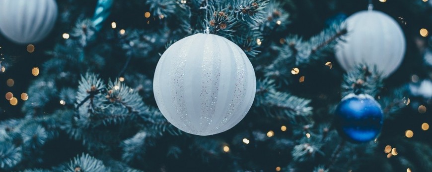 Put up Christmas tree, keep fresh, dispose & more